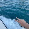 iushh_17