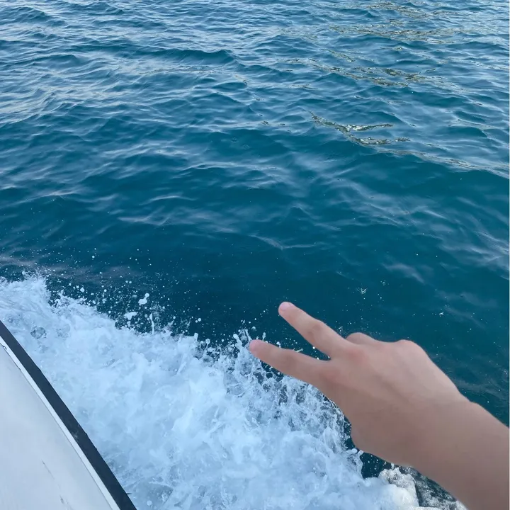 @iushh_17