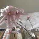 @yes.u.glow