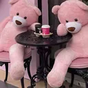 @kokobaby656