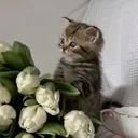 @fax_1999