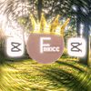 frikicc