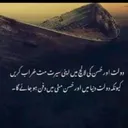 @zilay.shah604