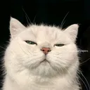@loijkj