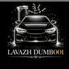 lavazh_dumb001