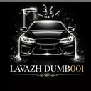 @lavazh_dumb001