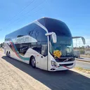 @tlpremium.buses