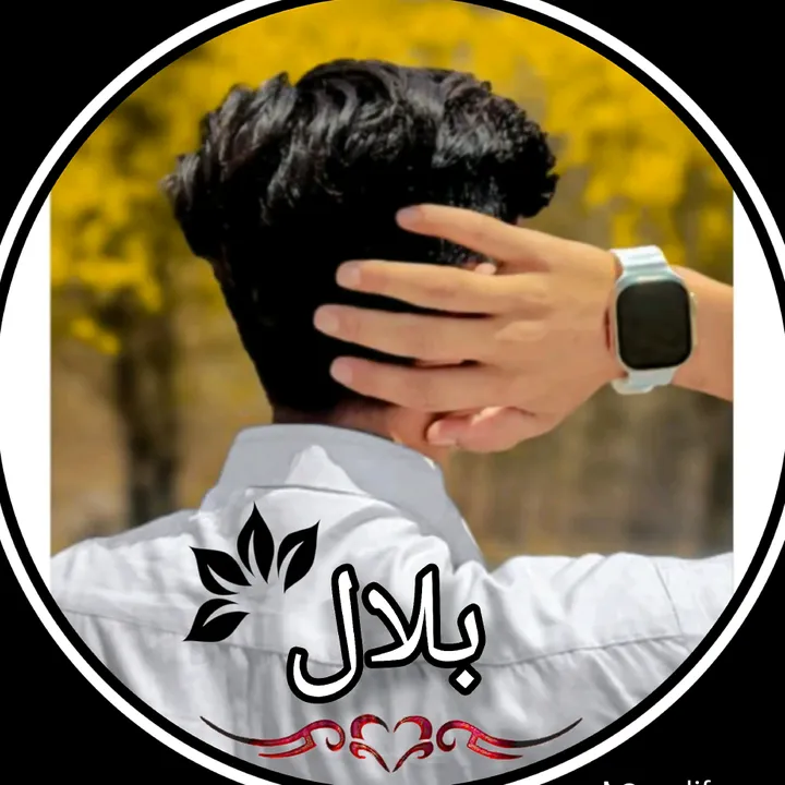 @bili.don043