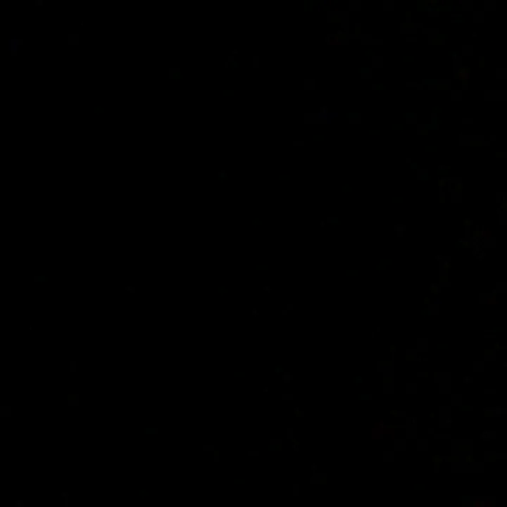 malik_umar_bora