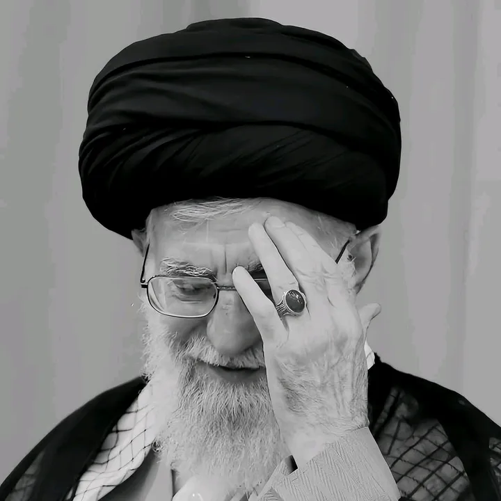 shaheenhussain313