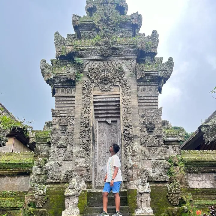 selfdev19