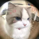 @meen_554