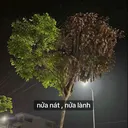 @bundoi28
