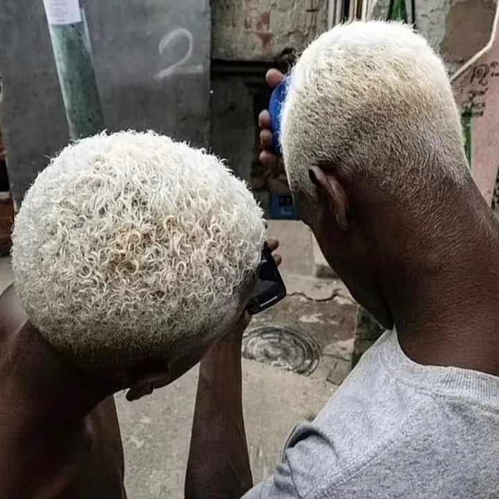 shakirodds_borz
