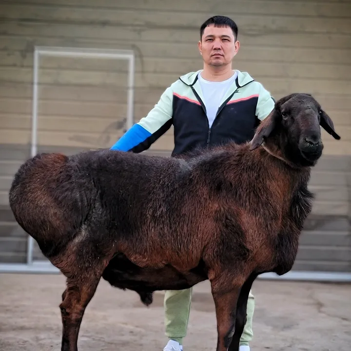 @kuanysh_myktybaev