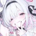 @kuroplana.ba