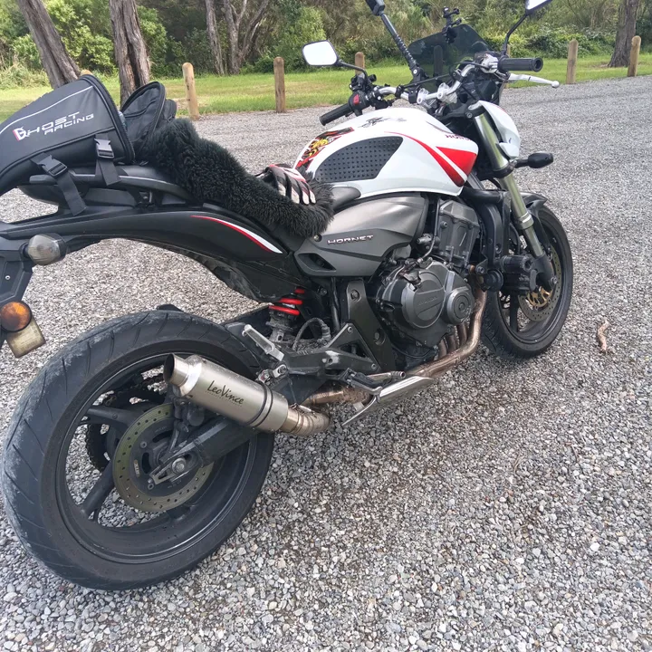 onearmridernz