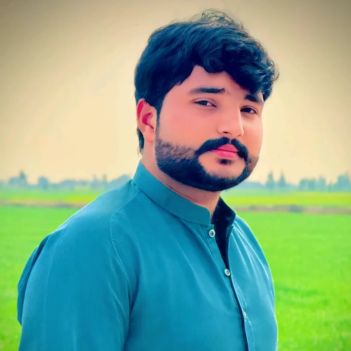 @alihamz615