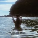 @vinha4712