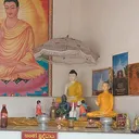 @udayangani.dharam