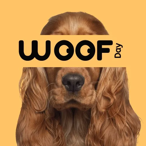 brisbanedogfriendly