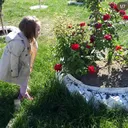 @mirosss8.2