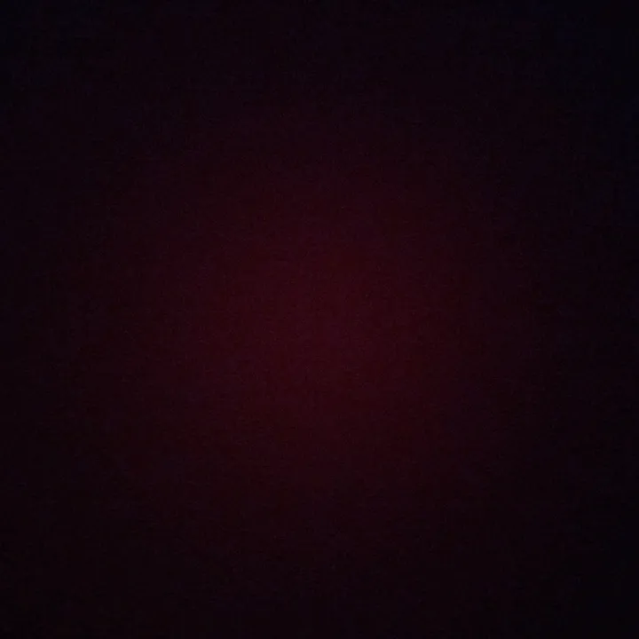 @tinaabbasi2