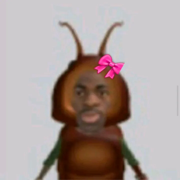sbshen3
