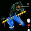 vasantha.kumari7