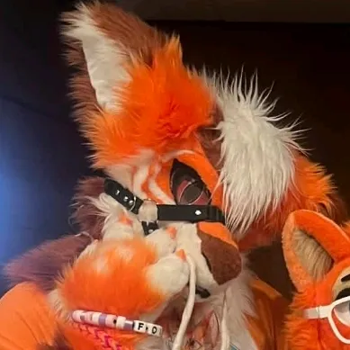 chaosfox56