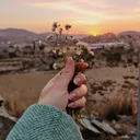 @jrebzinsaudi