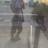 fw_stephanie17