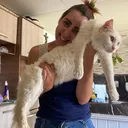 @karoleos12gatos