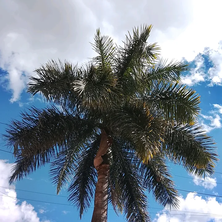 @airami._77