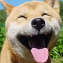 @bitoku01