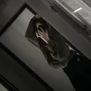 @victim_of_death