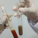 @reprodailyy