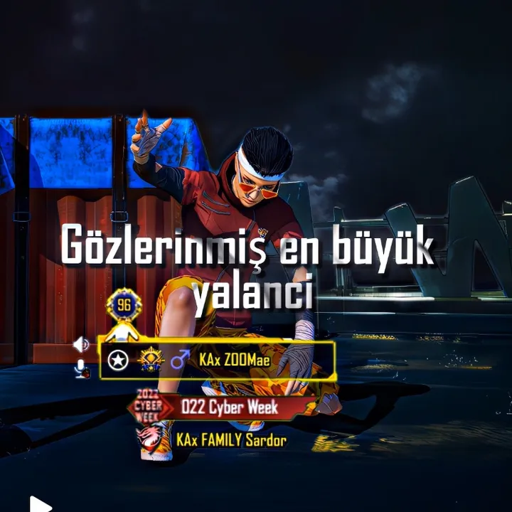 zoom_ae1
