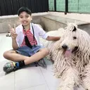 @areevmohanty0
