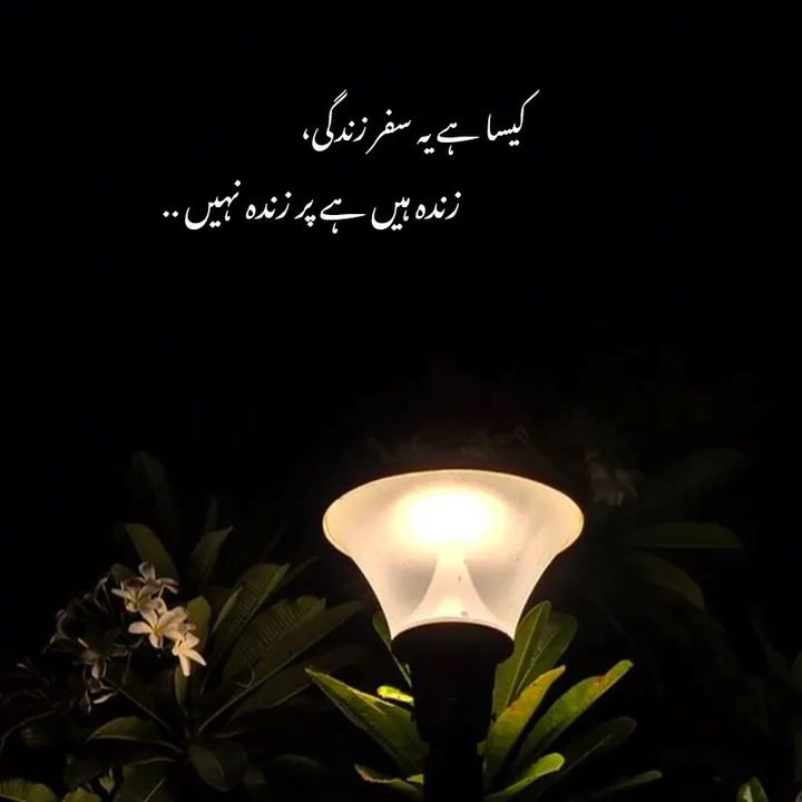 @silencekhan6