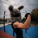 @m.s_bunny1