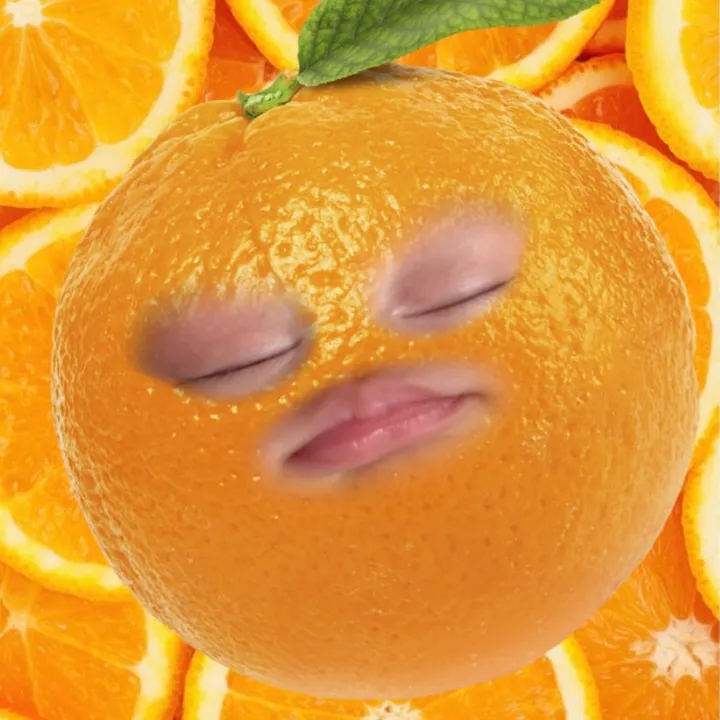 ndhrhmerza