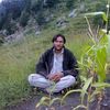 jahangerkhan523