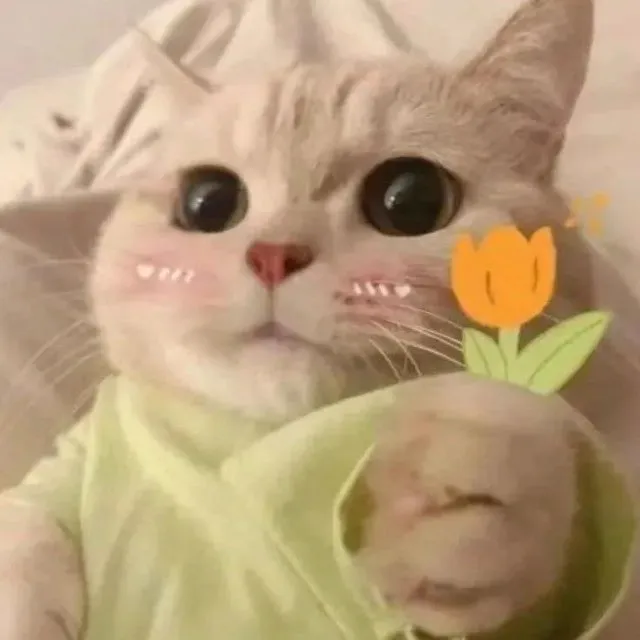 @swagggg4ever