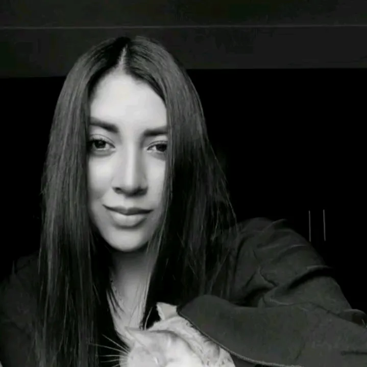 deisysanlem