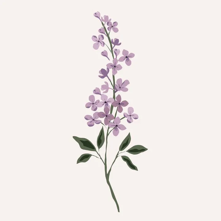 @lilac4651