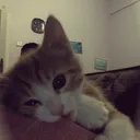 @ywwwwwwn