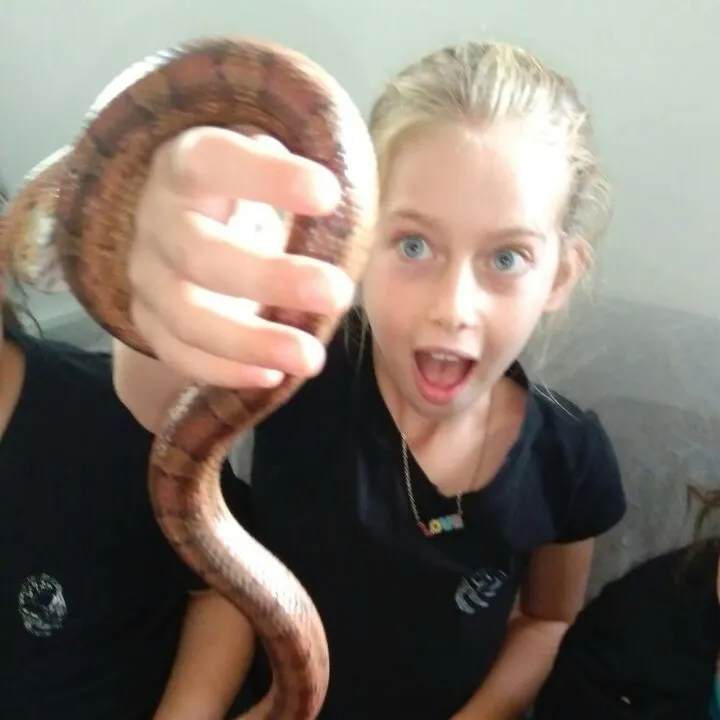 shelly_baron