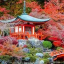 @rajanchy374