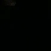 @yoangel0417